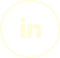 LinkedIn icon