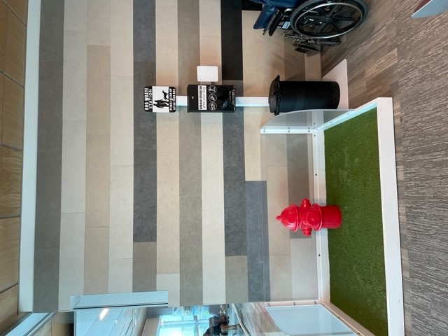 Image showing interior service area, with artificial turf, a red hydrant, and a waste bag dispenser